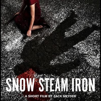 2017 snow steam iron